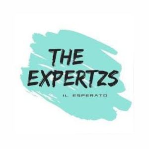 The Expertzs